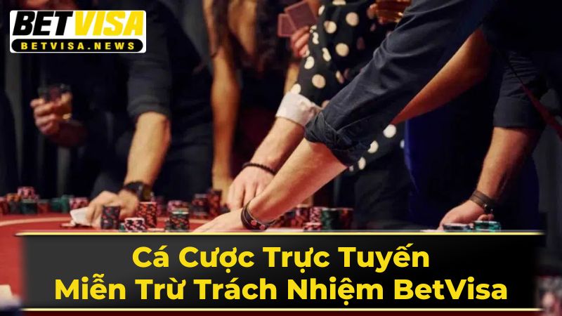 Cá Cược Trực Tuyến: Miễn Trừ Trách Nhiệm Tại BetVisa 3 Chính Sách Bảo Mật Thông Tin