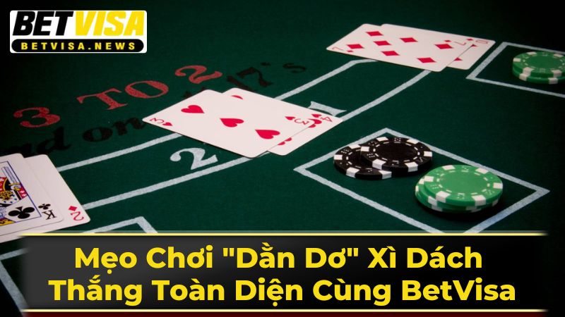 Mẹo Chơi "Dằn Dơ" Xì Dách Thắng Toàn Diện Cùng BetVisa 2 Thời Điểm Thích Hợp Để "Dằn Dơ"