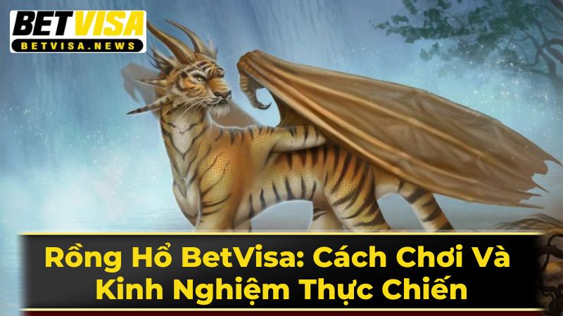 Luật Chơi Rồng Hổ Chi Tiết Cho Người Mới